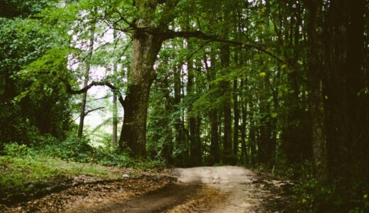 牛浜駅周辺のおすすめ焼肉店ガイド