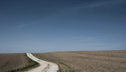鐘ケ淵駅周辺のおすすめラーメン店ガイド【地元で選ばれる名店を徹底紹介】