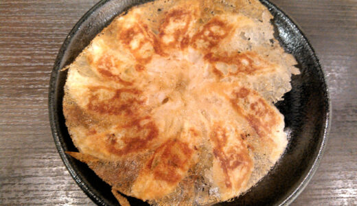 福島円盤餃子の魅力を徹底解説、歴史から名店・食べ方まで初めてでも失敗しない完全案内