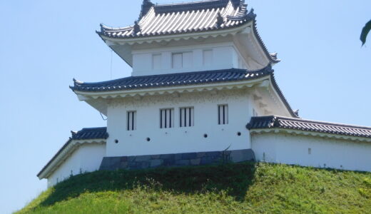 宇都宮で味わう絶品餃子の名店ガイド