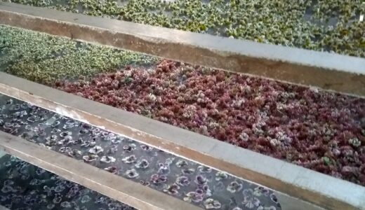 おすすめのドライヤーと選び方ガイド【髪質別・用途別に徹底解説】