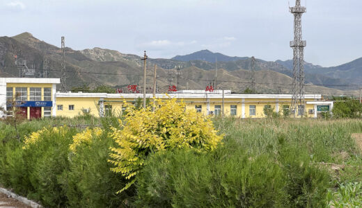河辺駅周辺で味わうおすすめラーメン店徹底ガイド