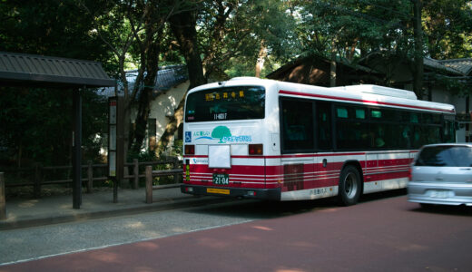 深大寺蕎麦を心ゆくまで味わうための完全保存版おすすめ名店と歴史散策を一緒に楽しむ贅沢な一日