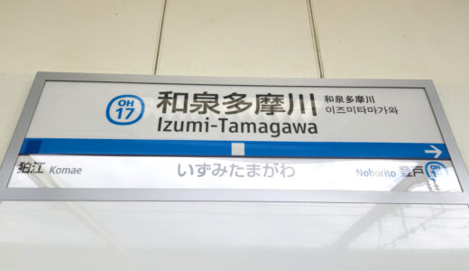和泉多摩川駅周辺のおすすめラーメン店ガイド【駅近で満足できる一杯】